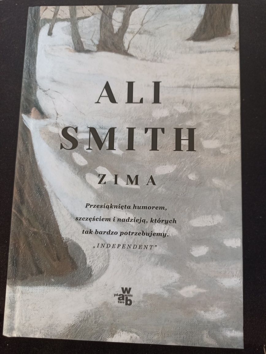 Książka Zima Ali Smith