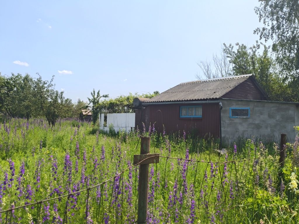 Продаж дачі,Вільський масив!