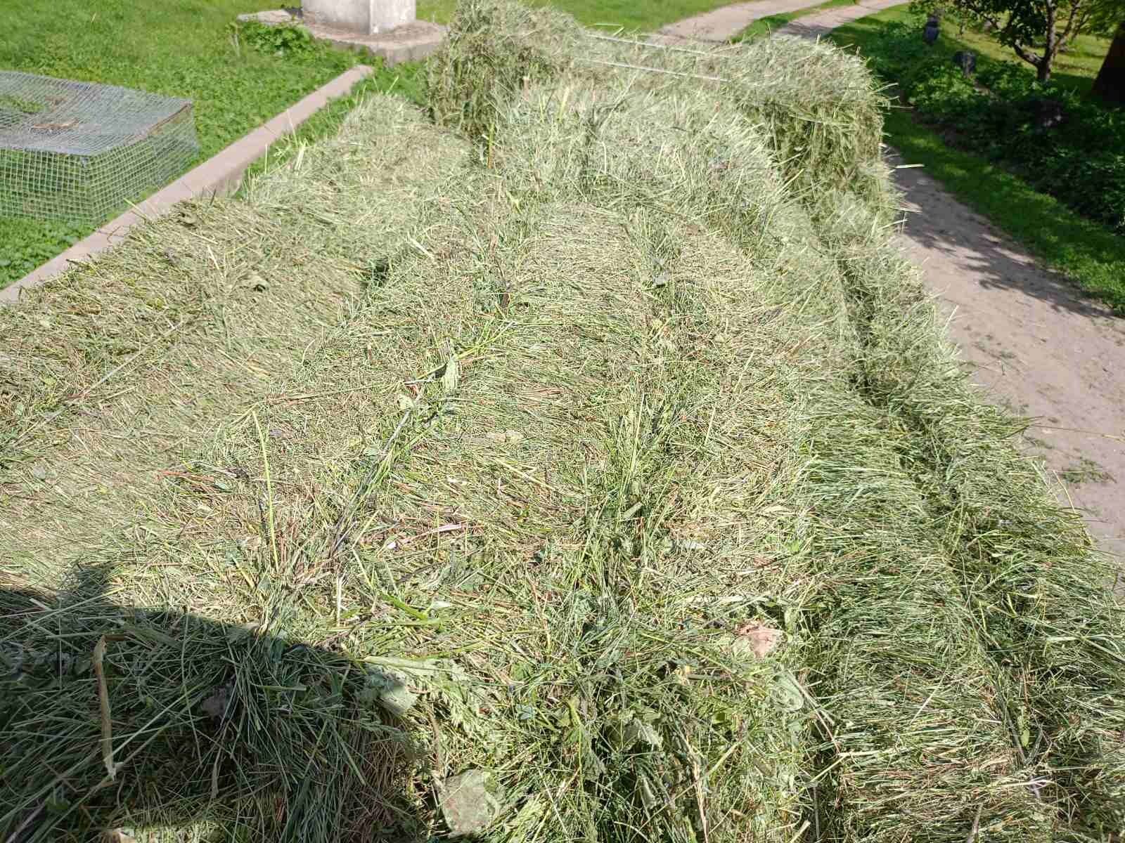 Терміново сіно і солма