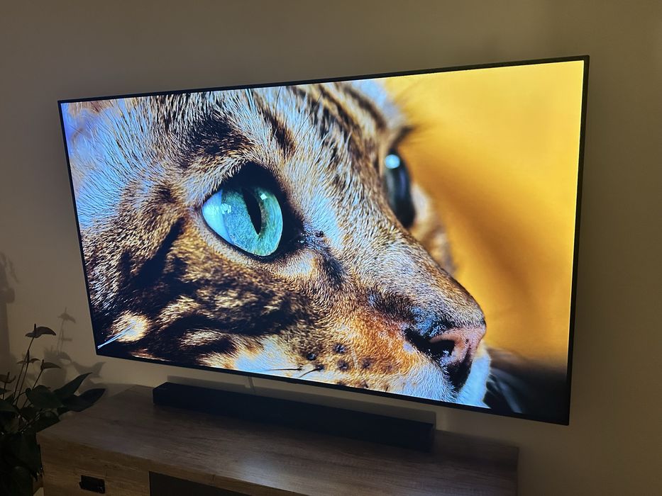TV LG OLED 65" 4K 100Hz OLED65BX3LB bez wypaleń
