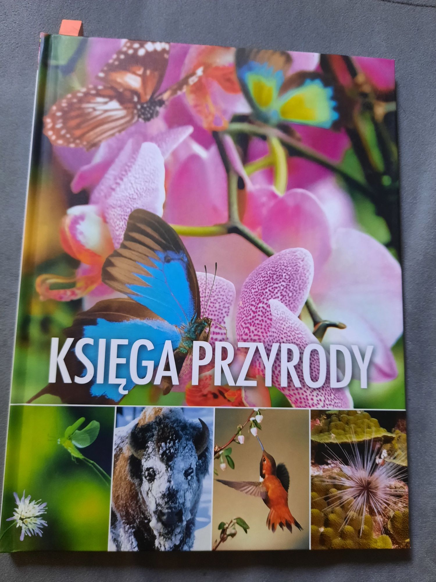 ALBUM Księga przyrody