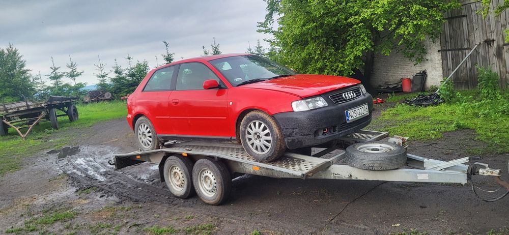 Wynajem lawety przyczepka DMC 2600