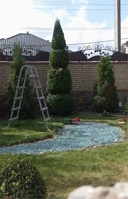 Косіння трави + посадка й обробка рослин