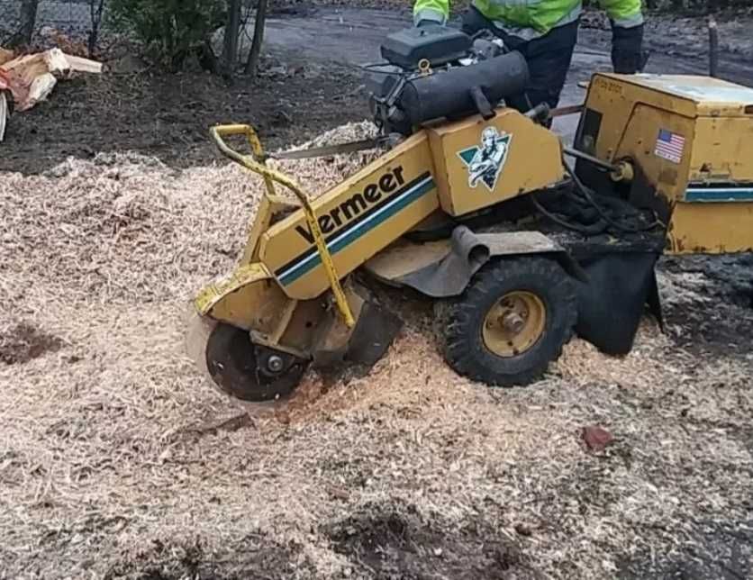 Frezowanie pni, wycinka drzew, karczowanie, mulczowanie, usuwanie pni