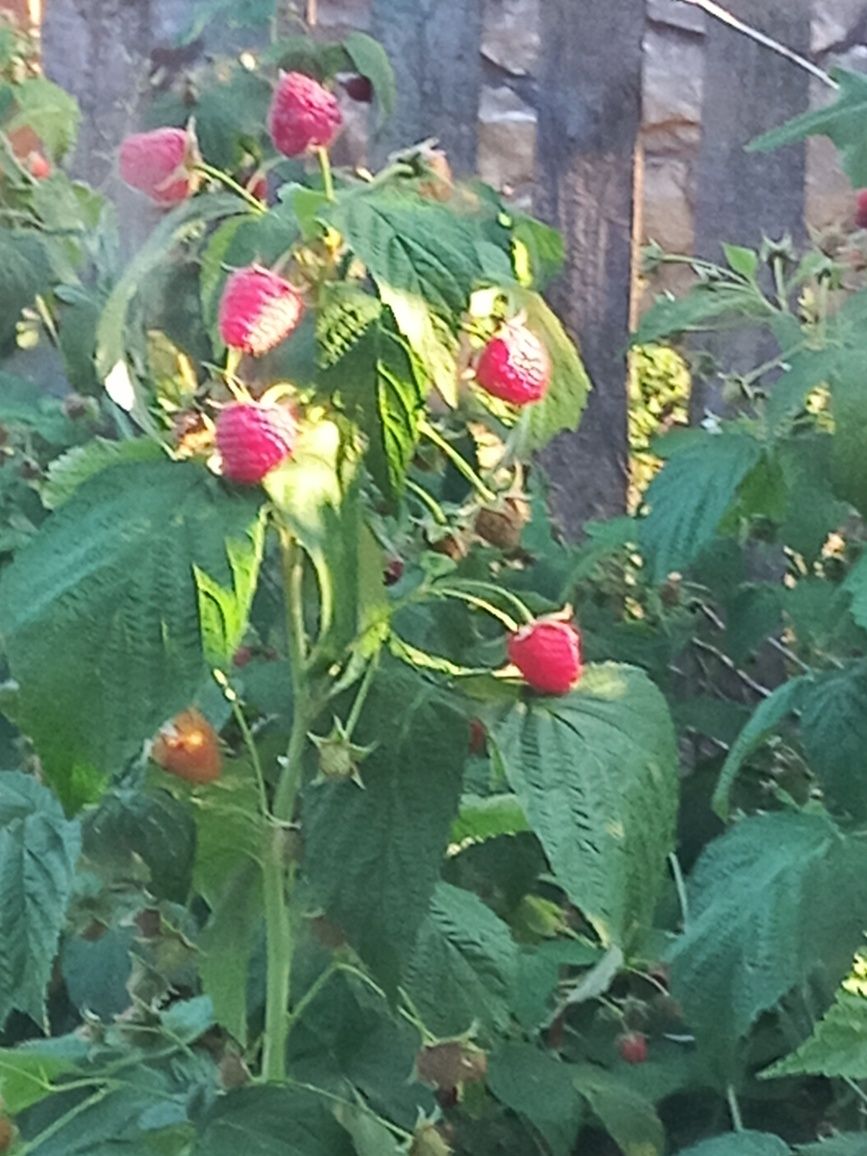Продам 1/2 ,часть дома