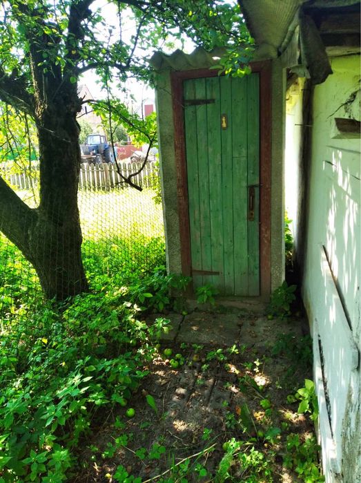 Будинок з садком та ділянкою