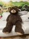 Urso de peluche.
