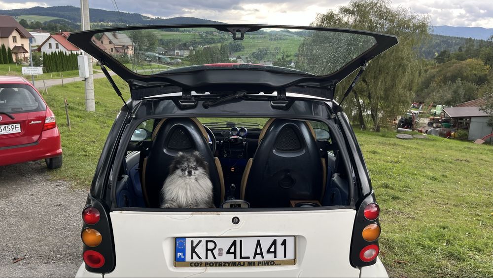 Smart Fortwo 450, 0.6 turbo, 1998 rok
