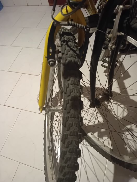 Bicicletas  desportivas