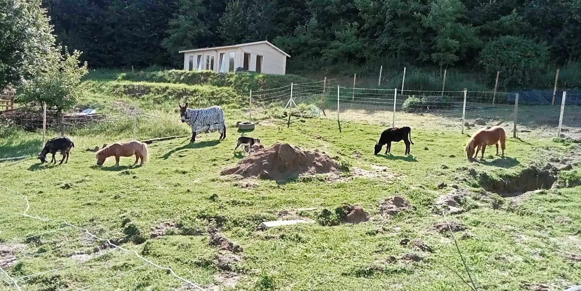 agroturystyka domek na wsi