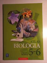 Atlas Biologia klasy 5-6 szkoły podstawowej