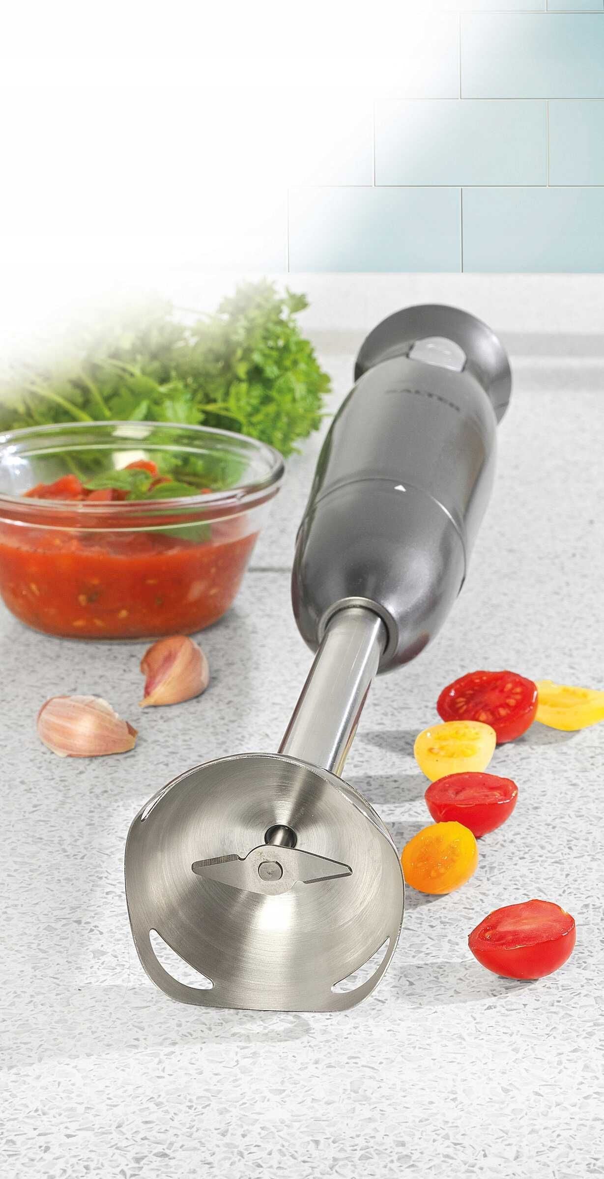 Blender ręczny z końcówką blendującą srebrny 400 W SALTER 2 PRĘDKOŚCI