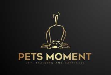 Treino para Cães / Dogs Training  (1a sessão grátis)
