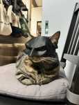 Maska Kota Superbohatera – Batman Style