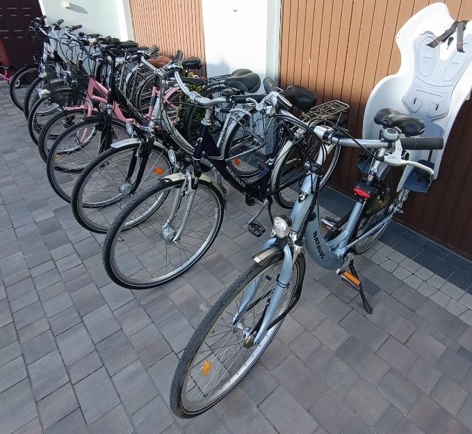 Damki miejskie rowery