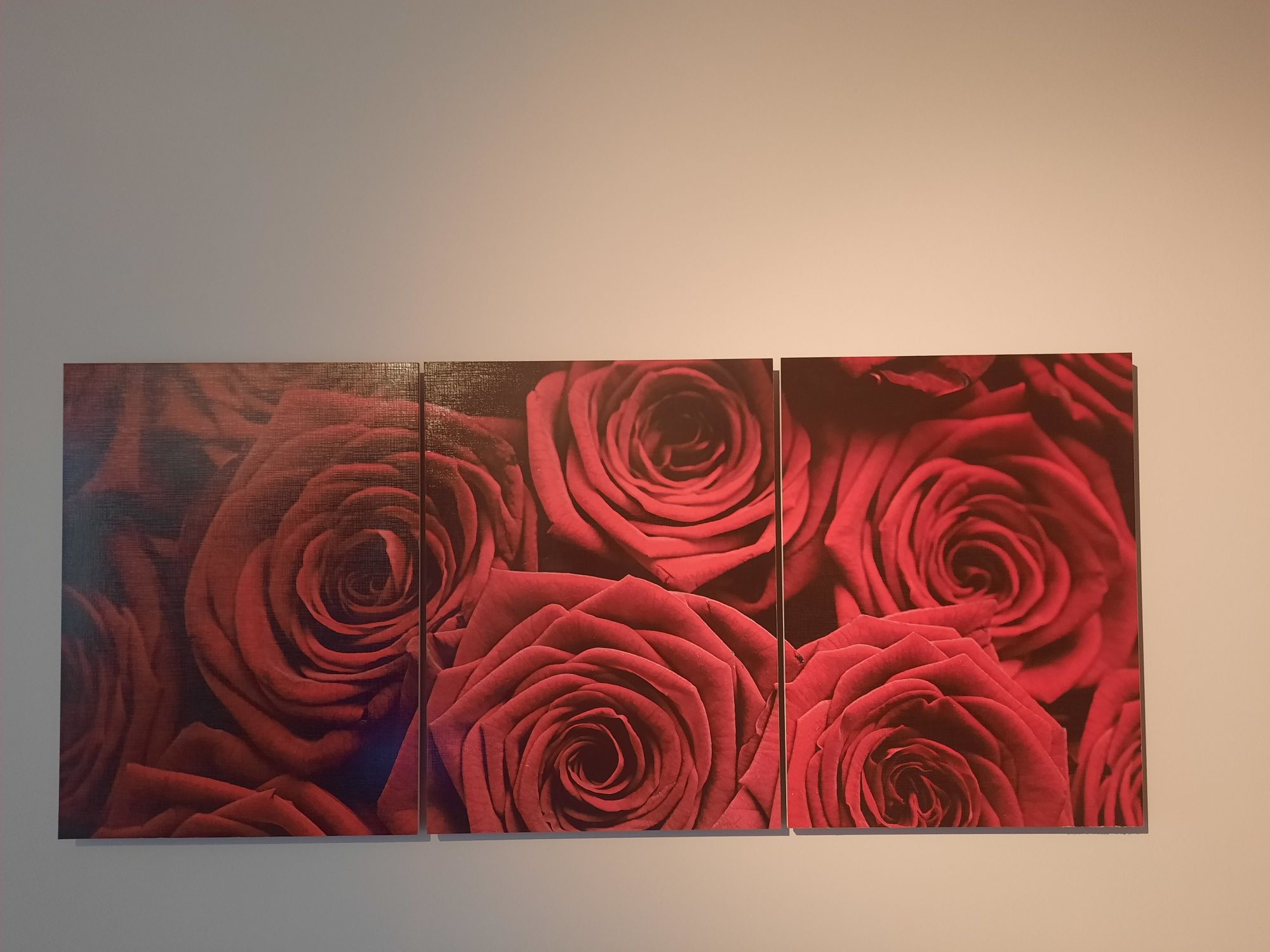 Obraz czerwone róże