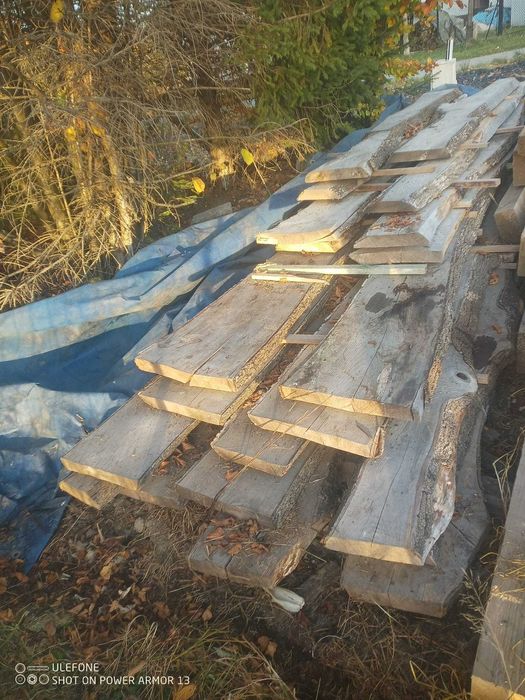 Tarcica jesionowa, forszty, bole, suche.