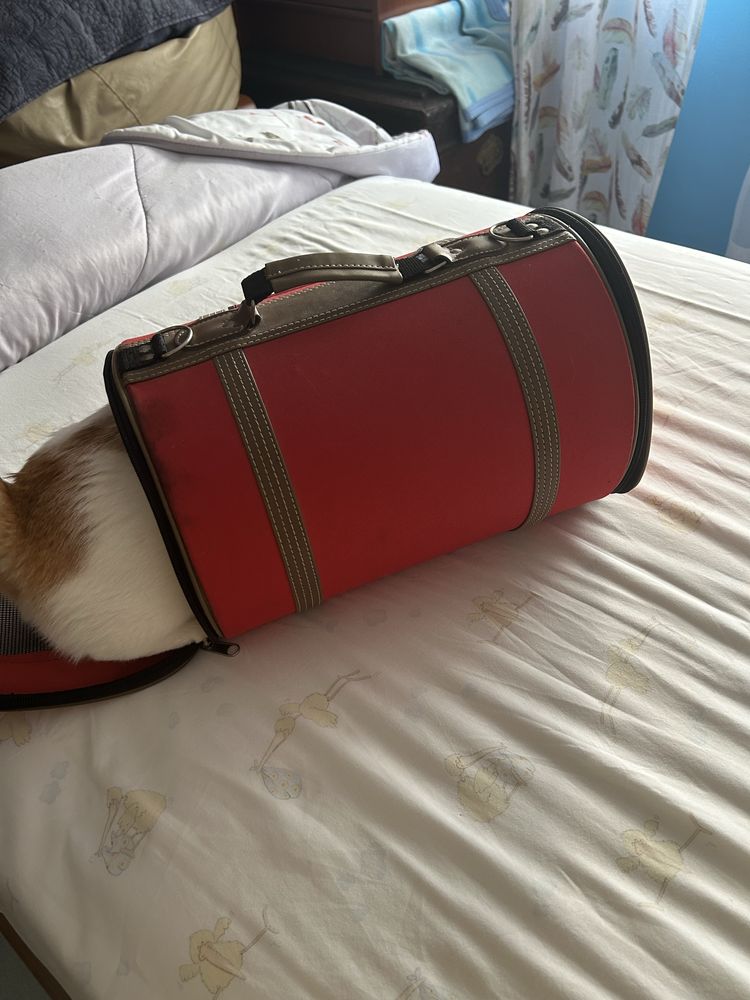 Caixa transportadora de gato vermelha