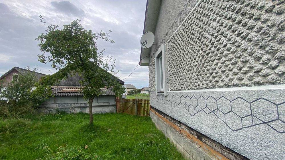 Будинок с.Нижній Струтин