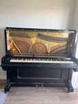 Piano Kohler preto