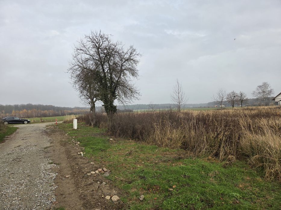 Bukowice, powiat Wołowski, Brzeg Dolny, Wołów, Oborniki, Wrocław