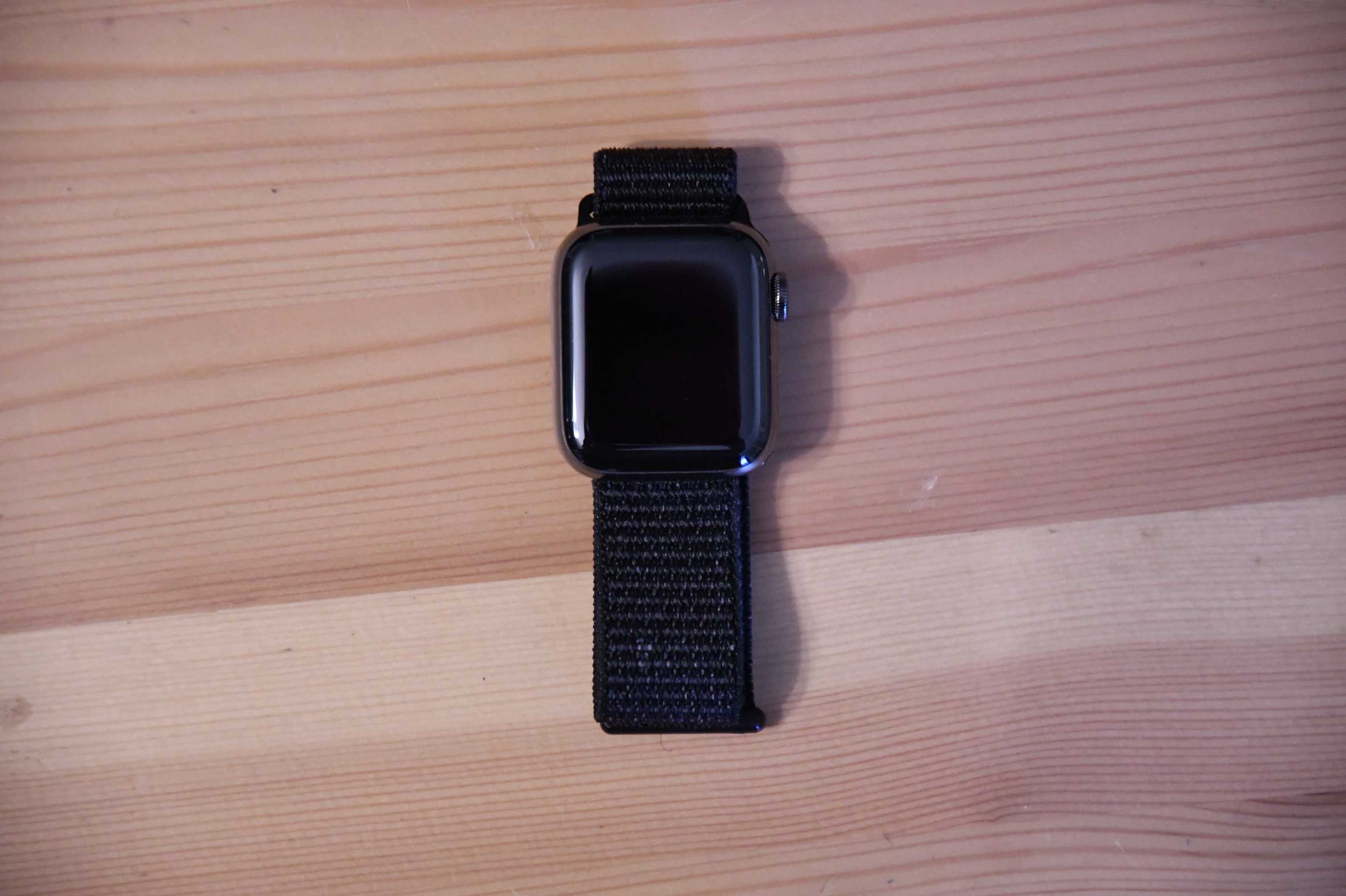 Apple Watch Series 6 Cellular, koperta 40mm, stal + szafir