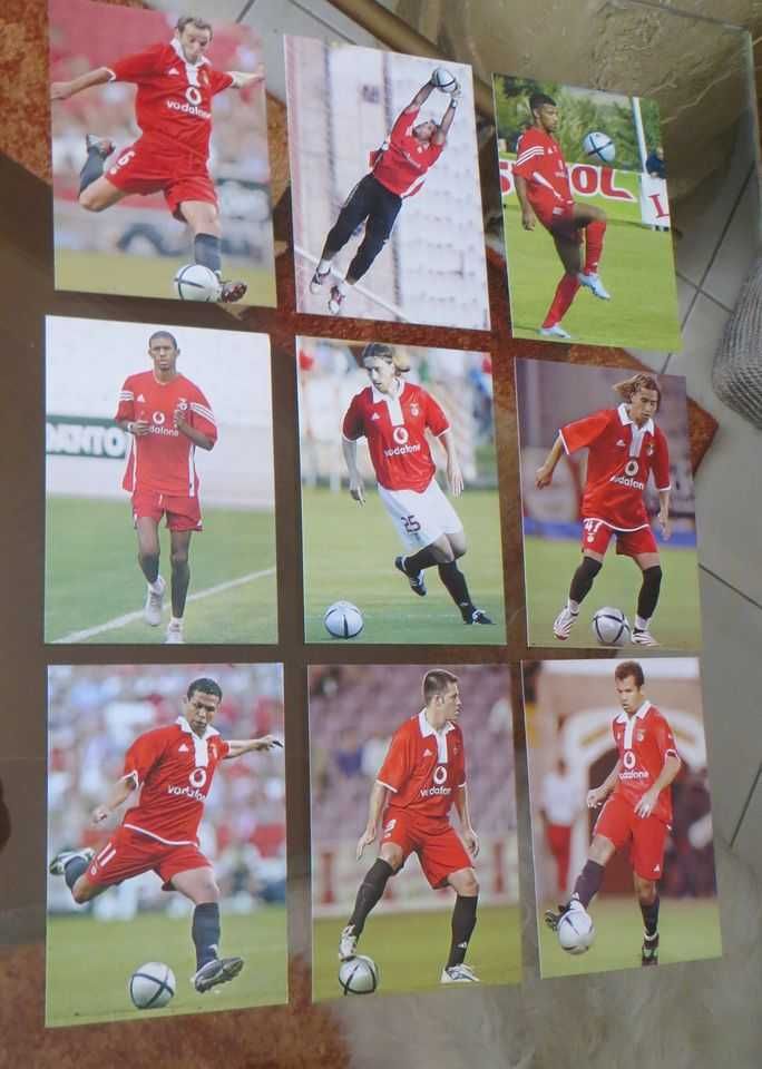 Coleção Completa  23 postais do Plantel do Benfica - Época 2004 / 2005