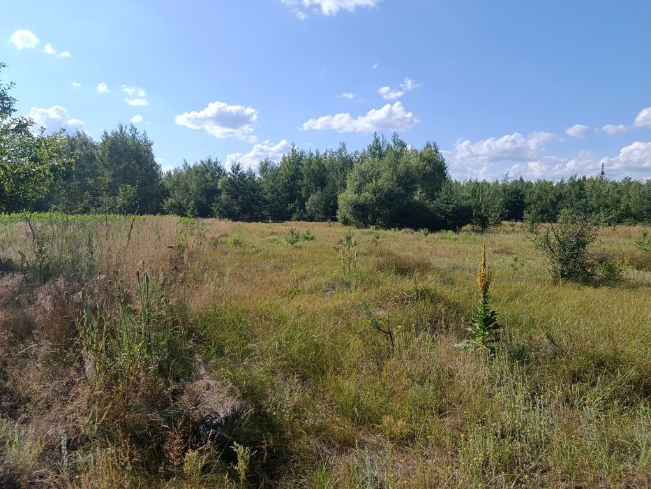 Продам 15-сот під забудову село.Сінгурі р-н новобудов