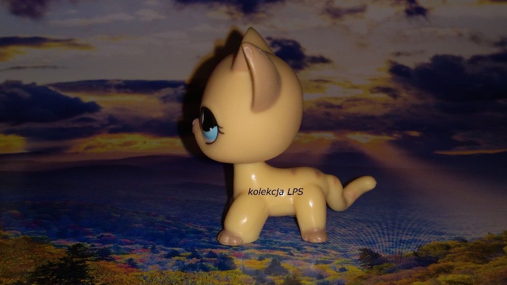 LPS Littlest Pet Shop shorthair #886 oryginalny kotek oryginał POP