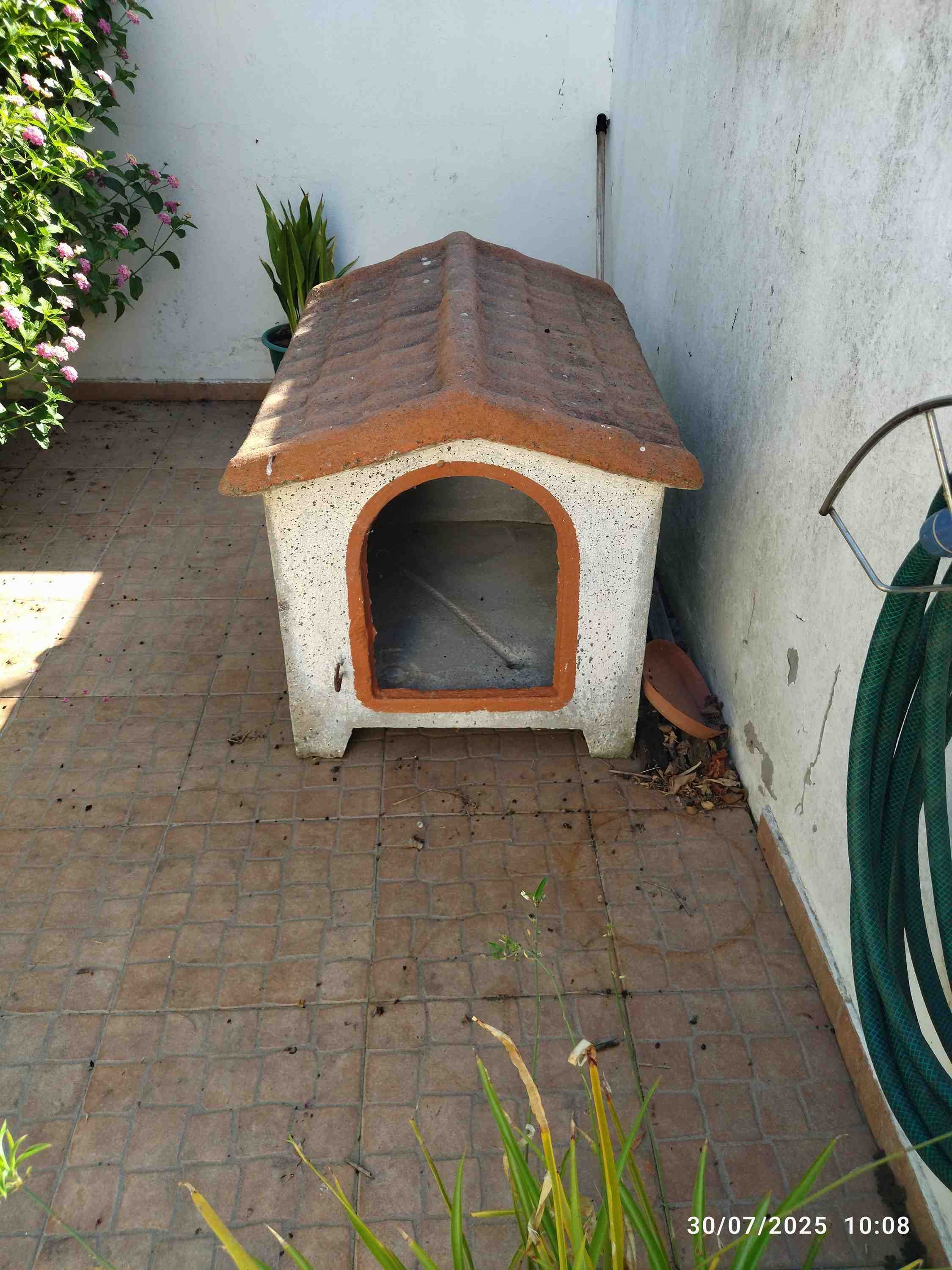 Casota de cão - Gratis