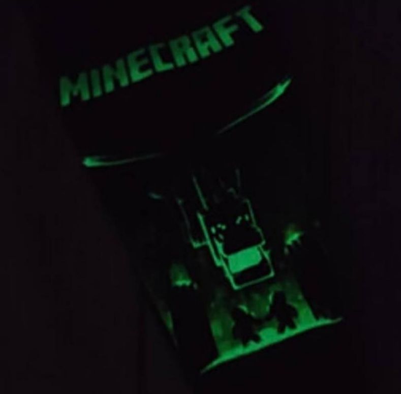Неутеплений спортивний костюм майнкрафт minecraft для хлопчика