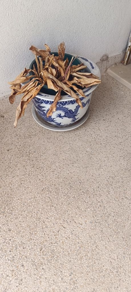 Conjunto de vasos/ jarras em porcelana