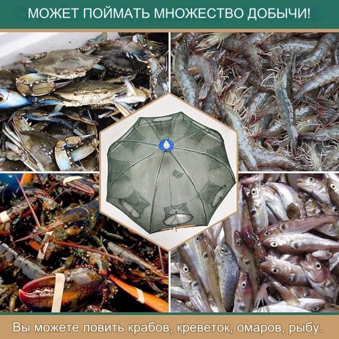 Сетка для Рыбаков - Раколовка 8 Входов - Распродажа!