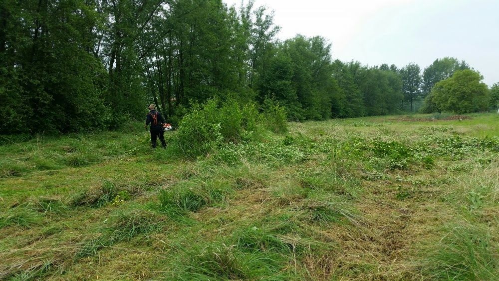 Koszenie trawy, wykaszanie, karczowanie, ogrody