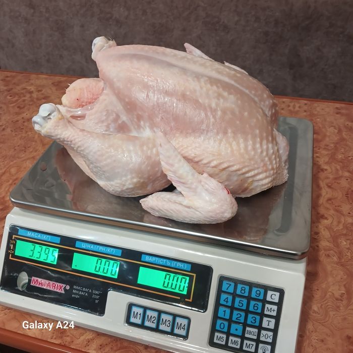 Тушки  бройлера домашні кури