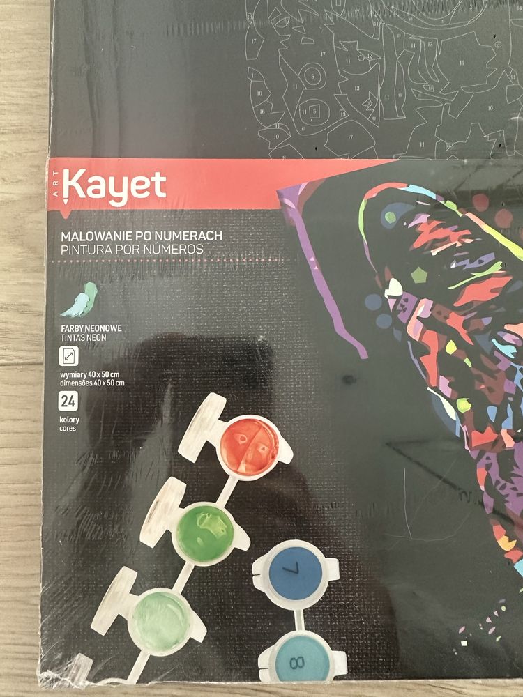 Malowanie po numerach Kayet kot obraz numery number painting