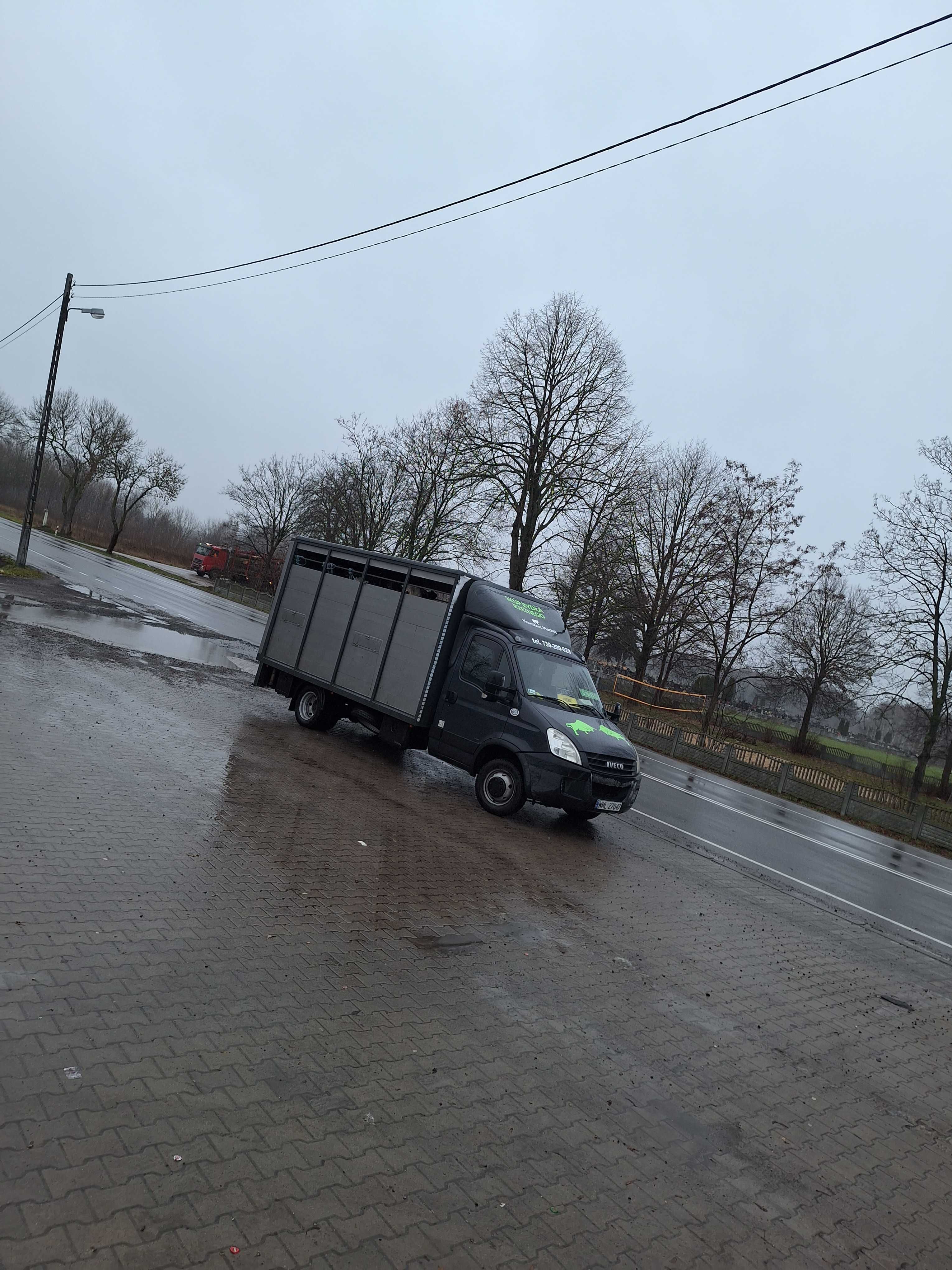 Sprzedam IVECO DAILY 3.5T do bydła,żywca,przewozu zwierząt!