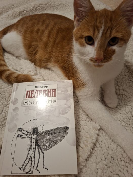 Wiktor Pelewin czy jakoś tak