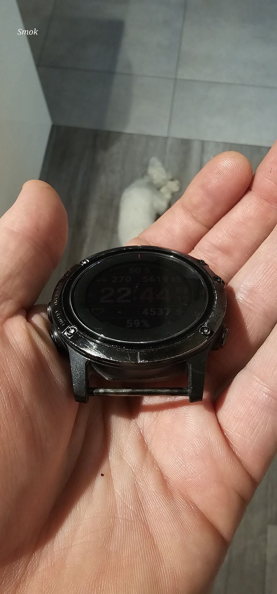 Garmin Fenix 5X Plus Sapphire Ultimate edition