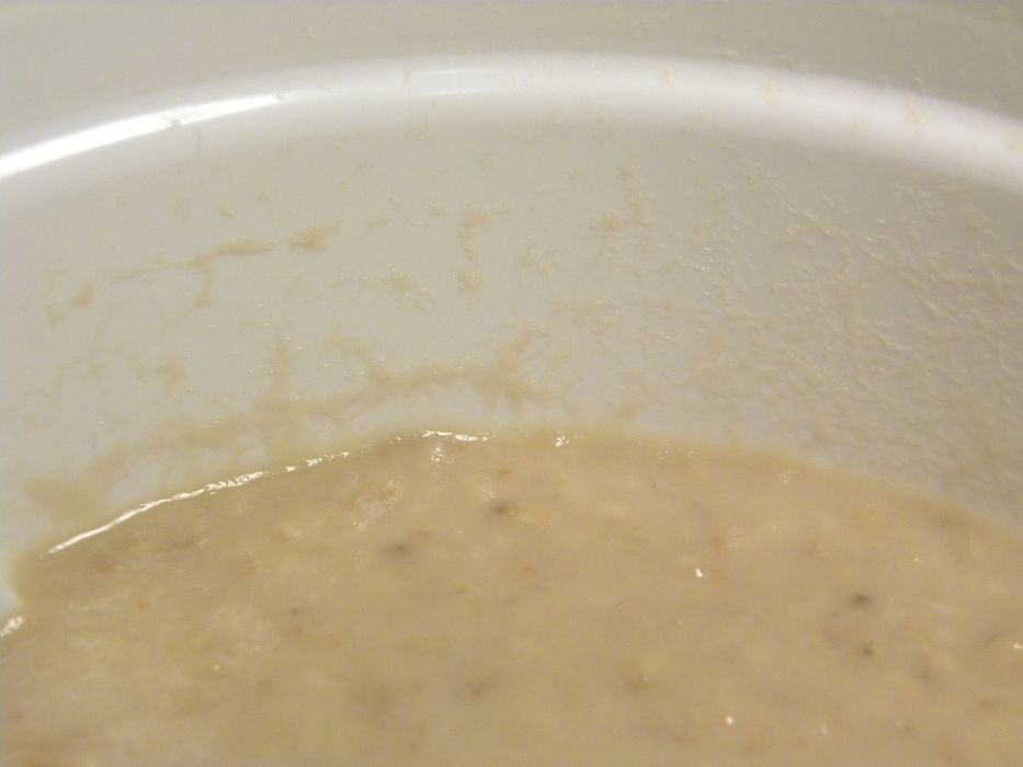 Alimento vivo para peixes - Microvermes de aveia