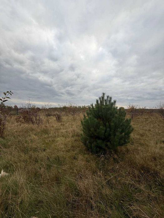 Продаж землі під будівництво Годовиця