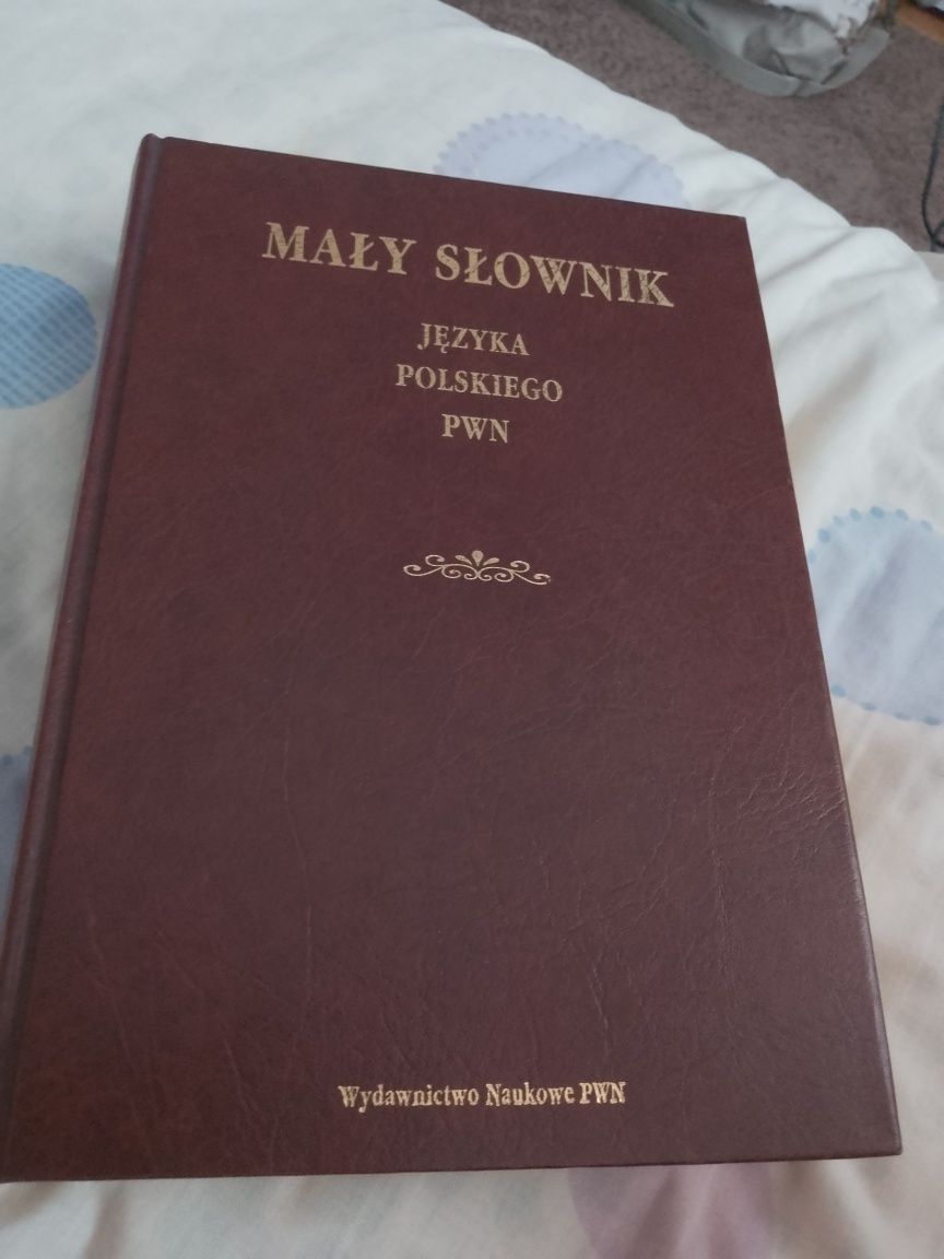 Słownik Języka Polskiego PWN 1993 r