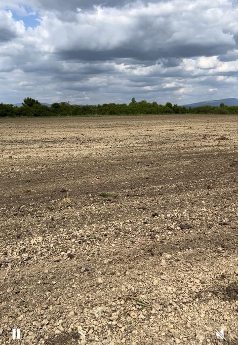 6 га. Продам приватизовану земельну ділянку