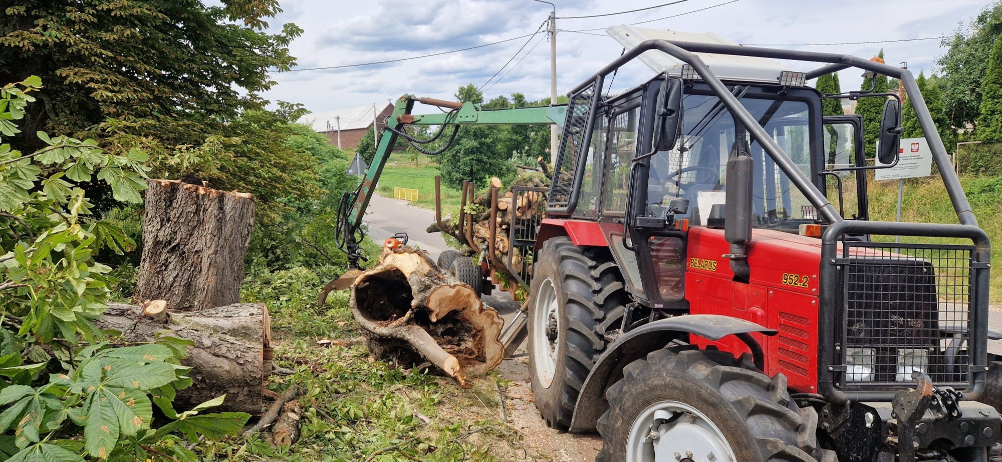 Wycinka drzew. Pilarz-drwal, arborysta. Wykaszanie zarośli.
