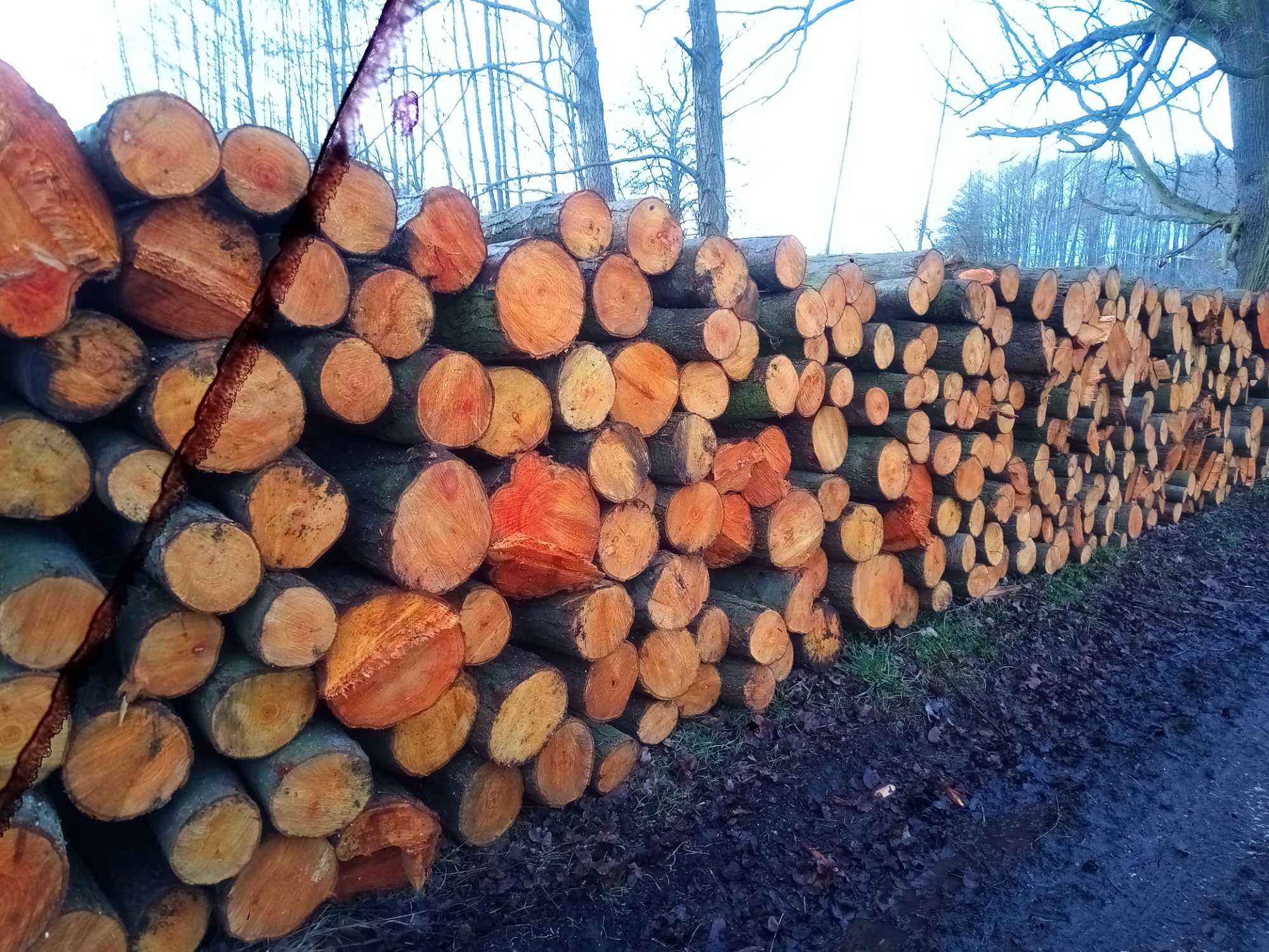 Drewno kominkowe opałowe użytkowe sezonowane Olcha Brzoza - TANIO!
