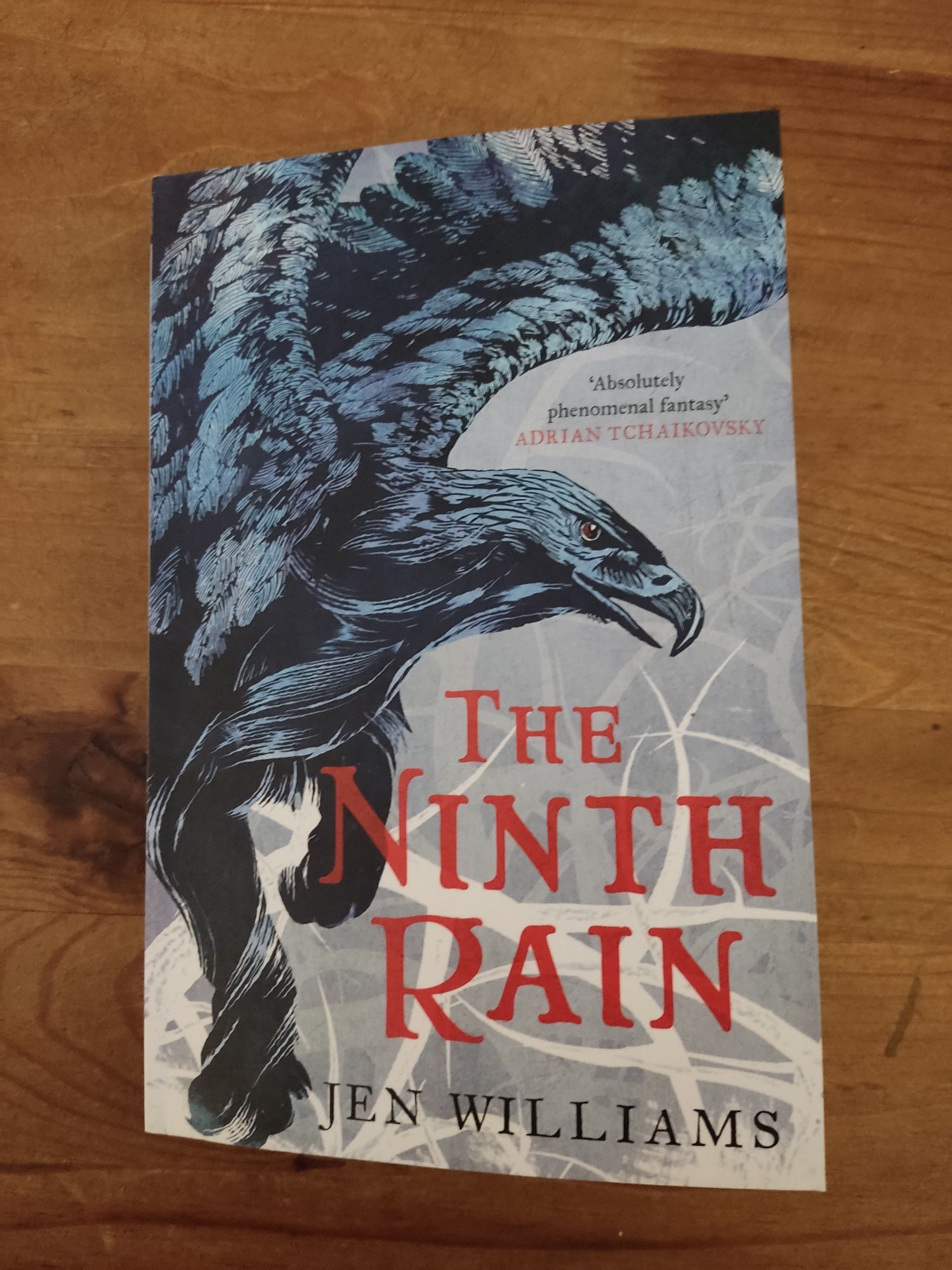 The ninth Rain livro
