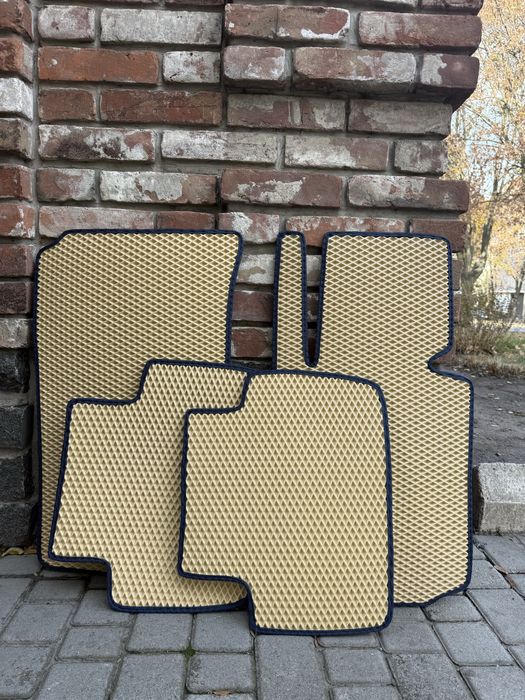 Ева ковріки для вісх авто