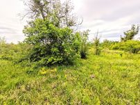 Продам дачну ділянку 7 соток у Дніпрі на лівому березі
