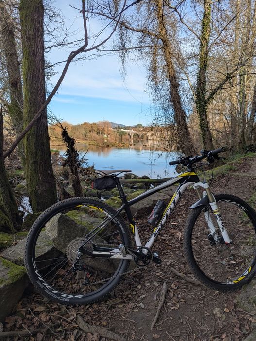 Scott scale 930 M carbono