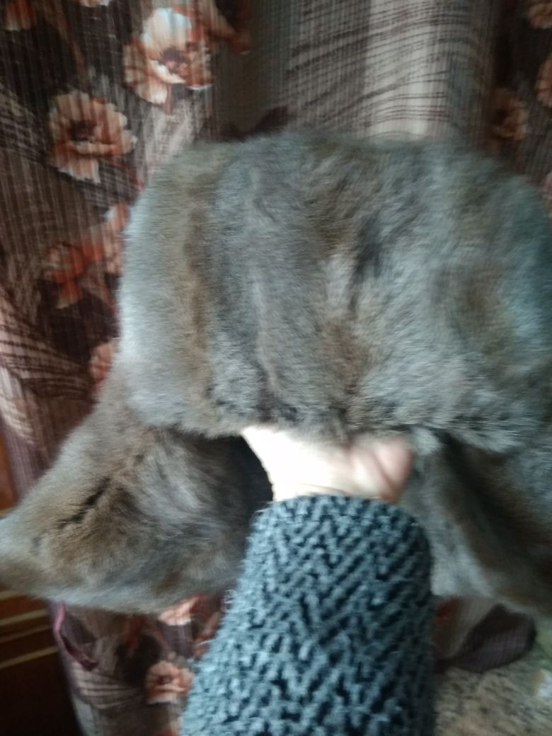 Продаю шубу , полушубок , шапки меховые